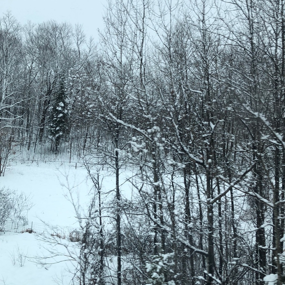 Meet your Posher, Helen